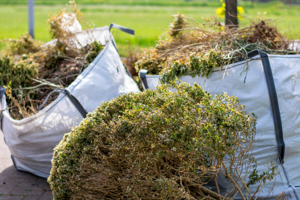 Best Household Junk Removal  in Sterling Heights, MI